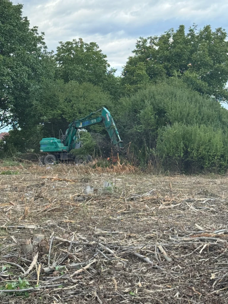 Bager čisti šumovito područje