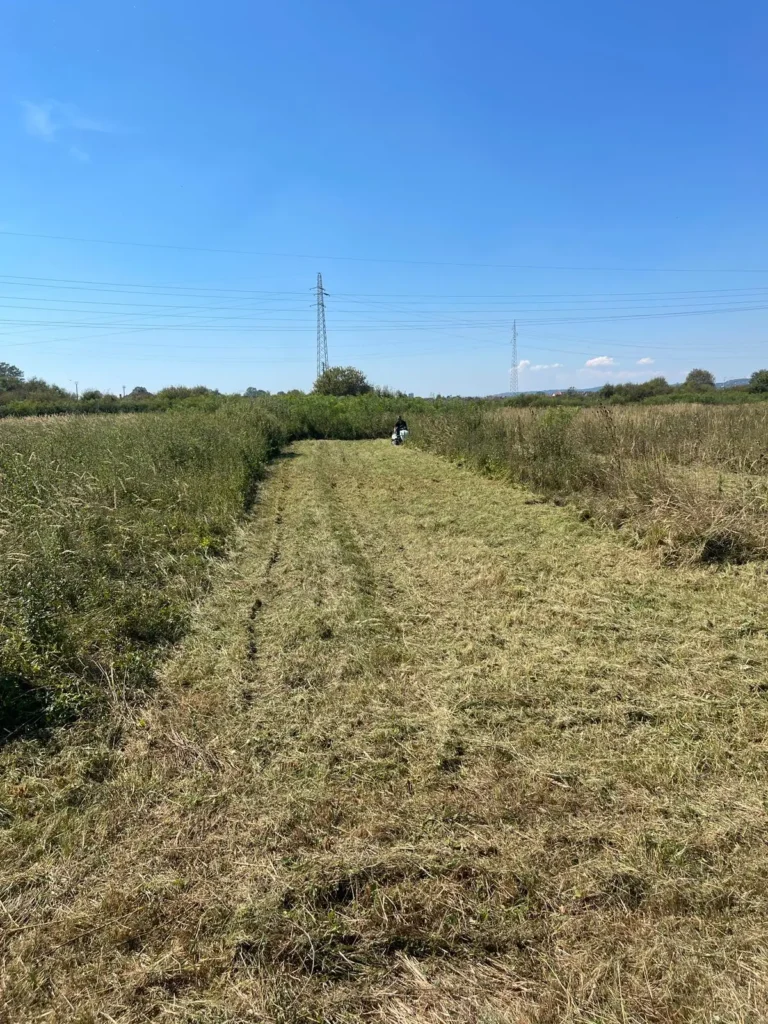 Pokosena livada pod plavim nebom